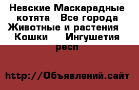 Невские Маскарадные котята - Все города Животные и растения » Кошки   . Ингушетия респ.